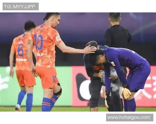 2019年12月鲁能与国安比赛中裁判的身份及其影响分析 2019年12月鲁能与国安比赛中裁判的身份及其影响分析