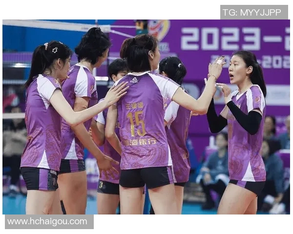 天津女排与福建女排精彩对决视频回放尽在土豆网观看